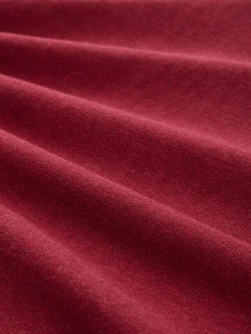 TOM TAILOR Sweater in Red