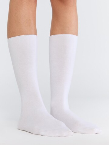 Albero Natur Socks 'Bio-Baumwoll-Socken mit Rollrand Unisex – 2er Pack' in White
