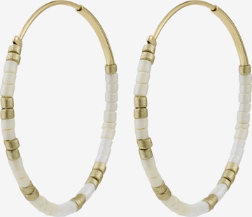 Pilgrim Ohrringe 'Alison' in Gold: Vorderseite