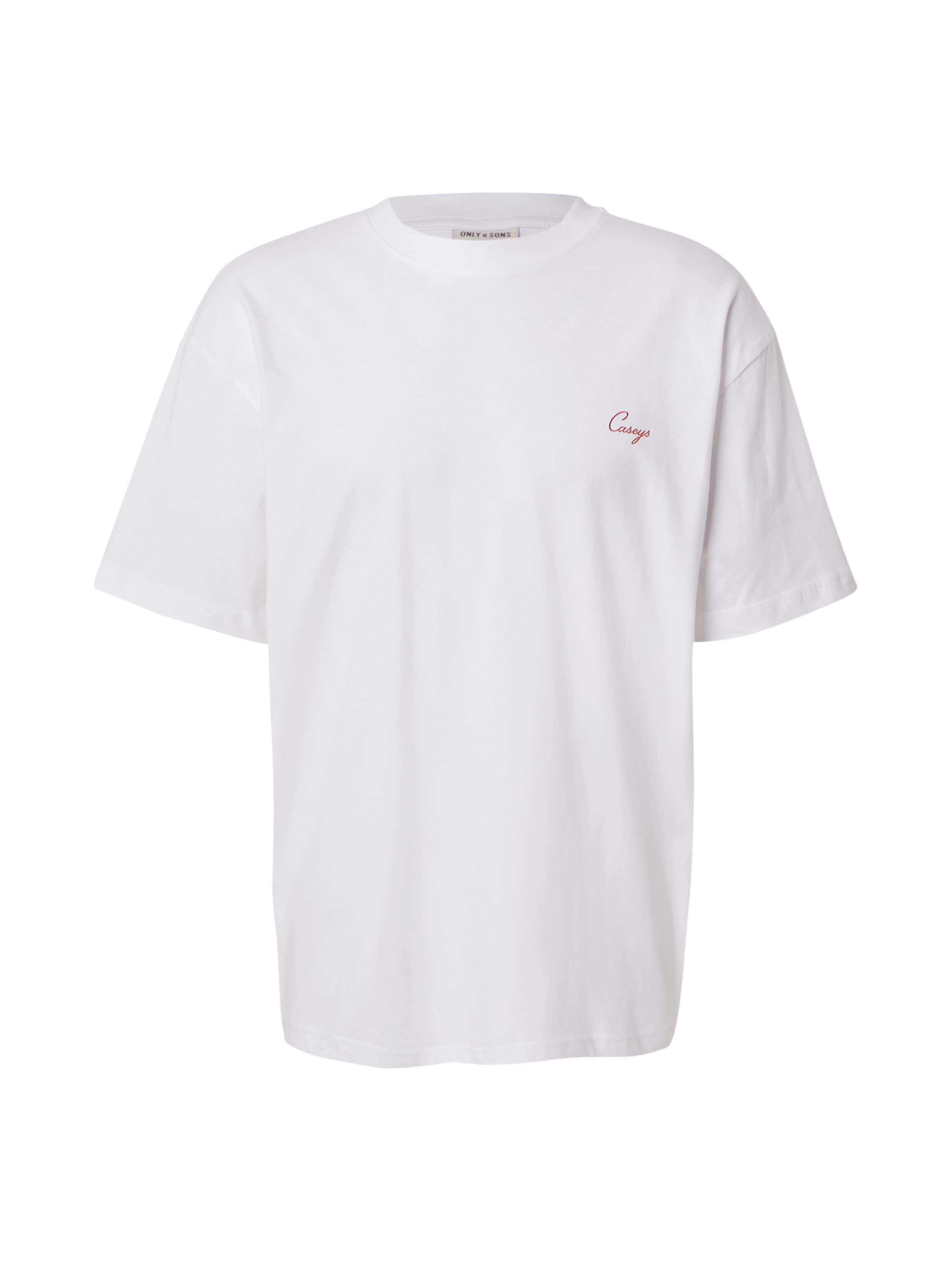 Only & Sons Μπλουζάκι 'ONSMALIK CASEYS' σε λευκό: μπροστά