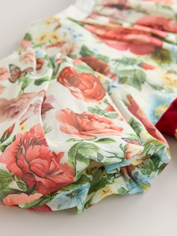 mišri Next Suknelė