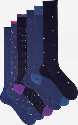 Ciocca Knee High Socks in Mixed colors: front
