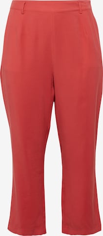 Guido Maria Kretschmer Curvy Collection Regular Chino Pants 'Tessa' in Red: front