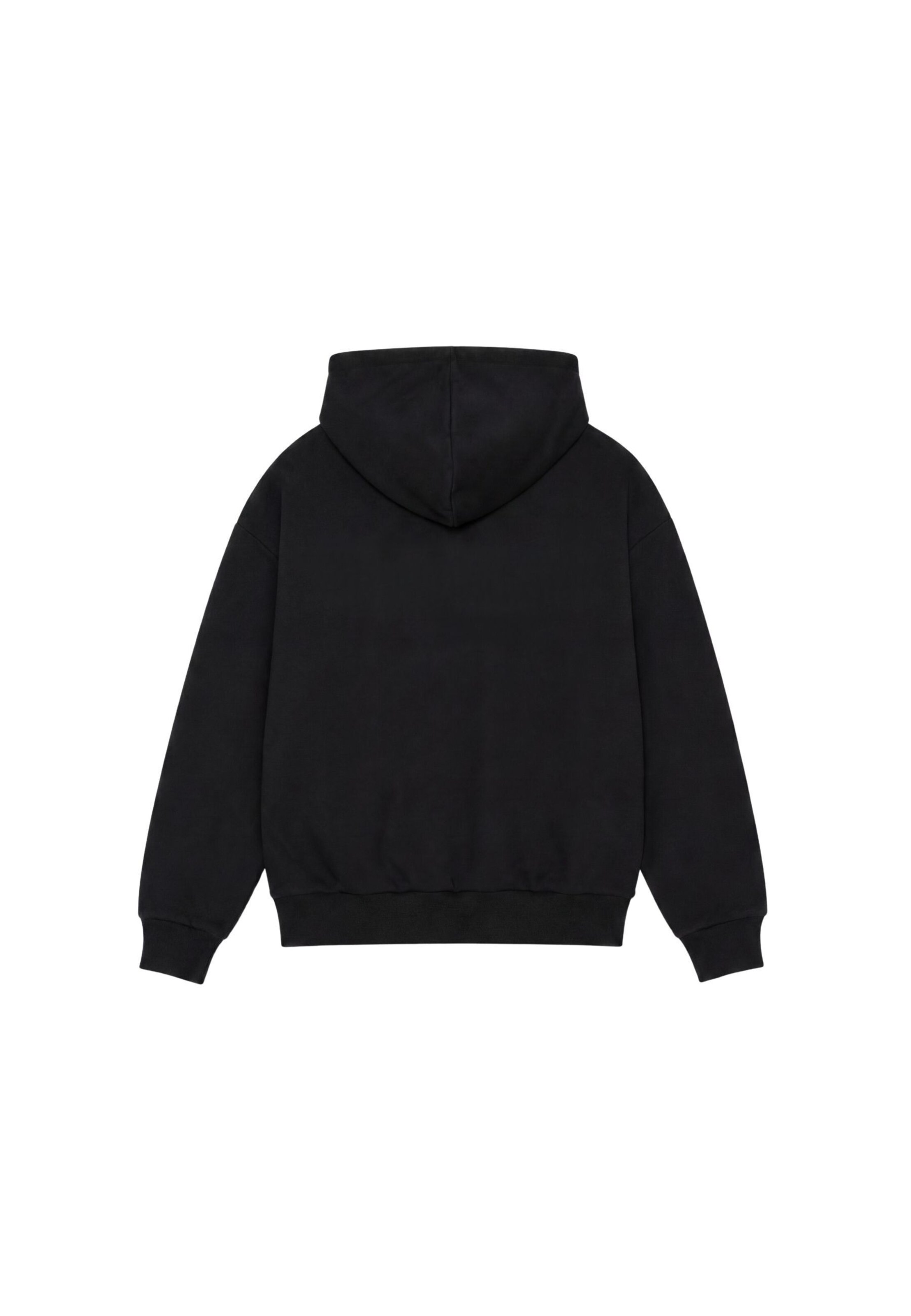 Colucci Sweatshirt 'College' in Black