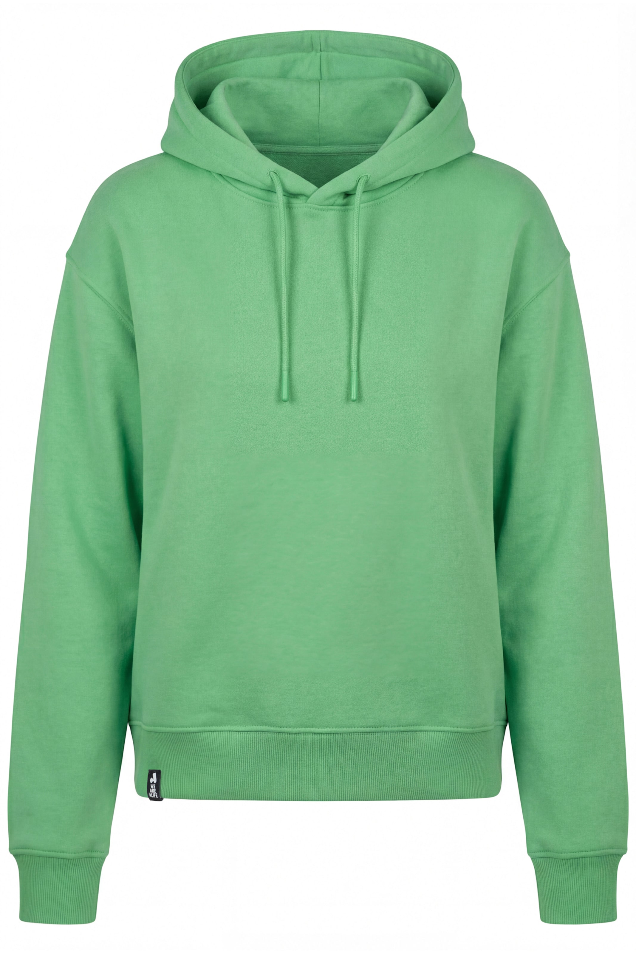 Felpa 'DanyaAK A' di alife & kickin in verde: frontale