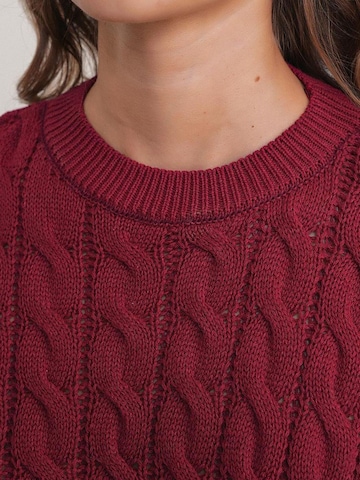 Pullover 'Pullover' di MixRay in rosso