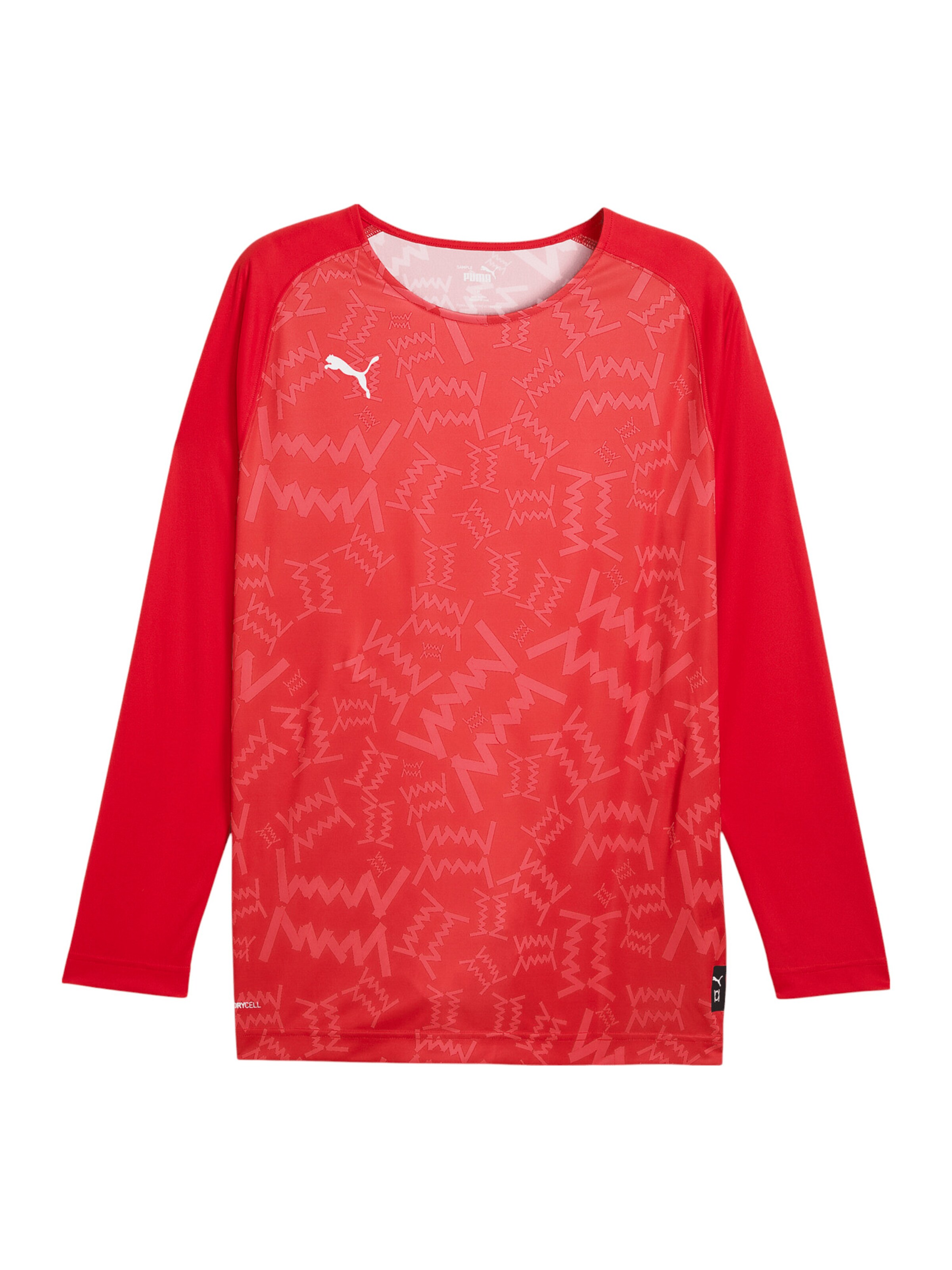 PUMA Funktionsshirt 'Teamjaws' in Rot: Vorderseite