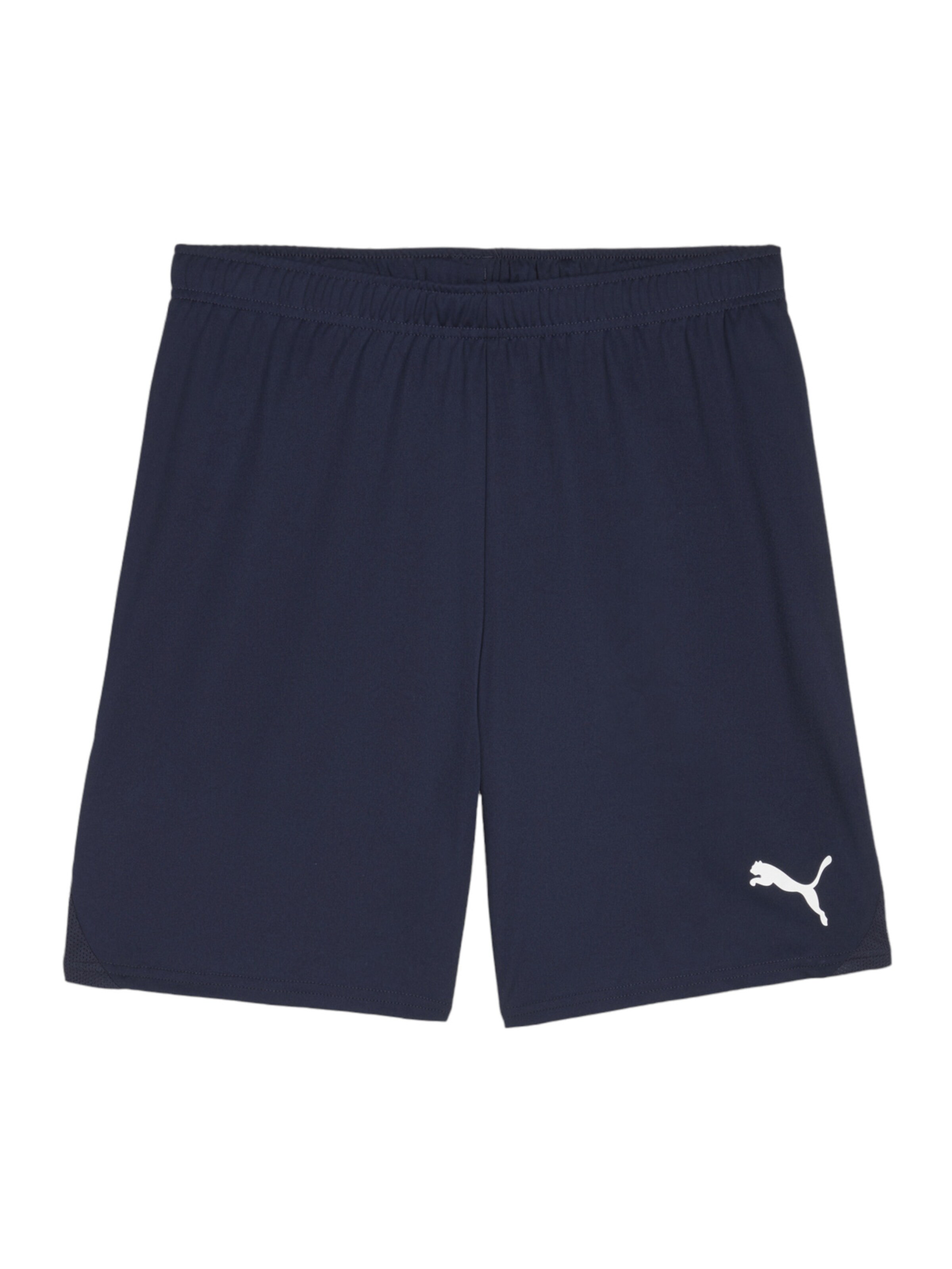 PUMA Sportshorts 'Team Goal' in Blau: Vorderseite