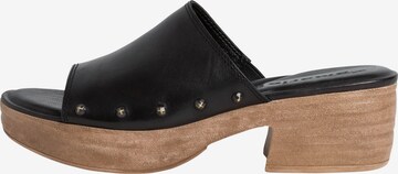 TAMARIS Mules 'Mule' in Black