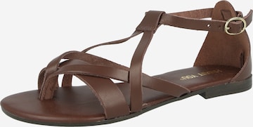 ABOUT YOU Páskové sandály 'Jody' – hnědá: přední strana