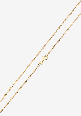 ELLI PREMIUM Kette in Gold