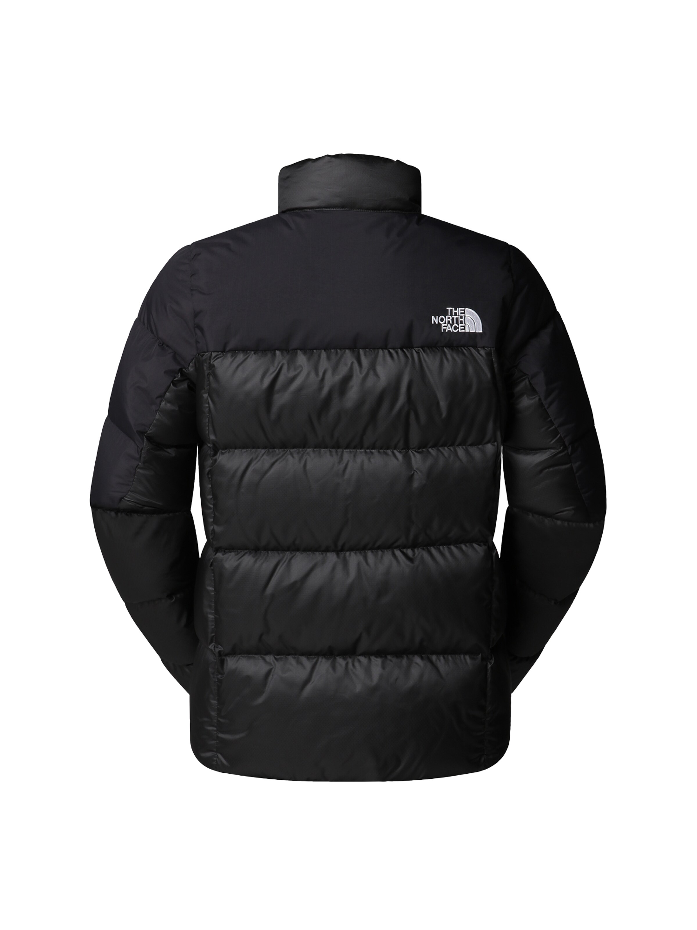 Veste outdoor 'Diablo 2.0' THE NORTH FACE en noir