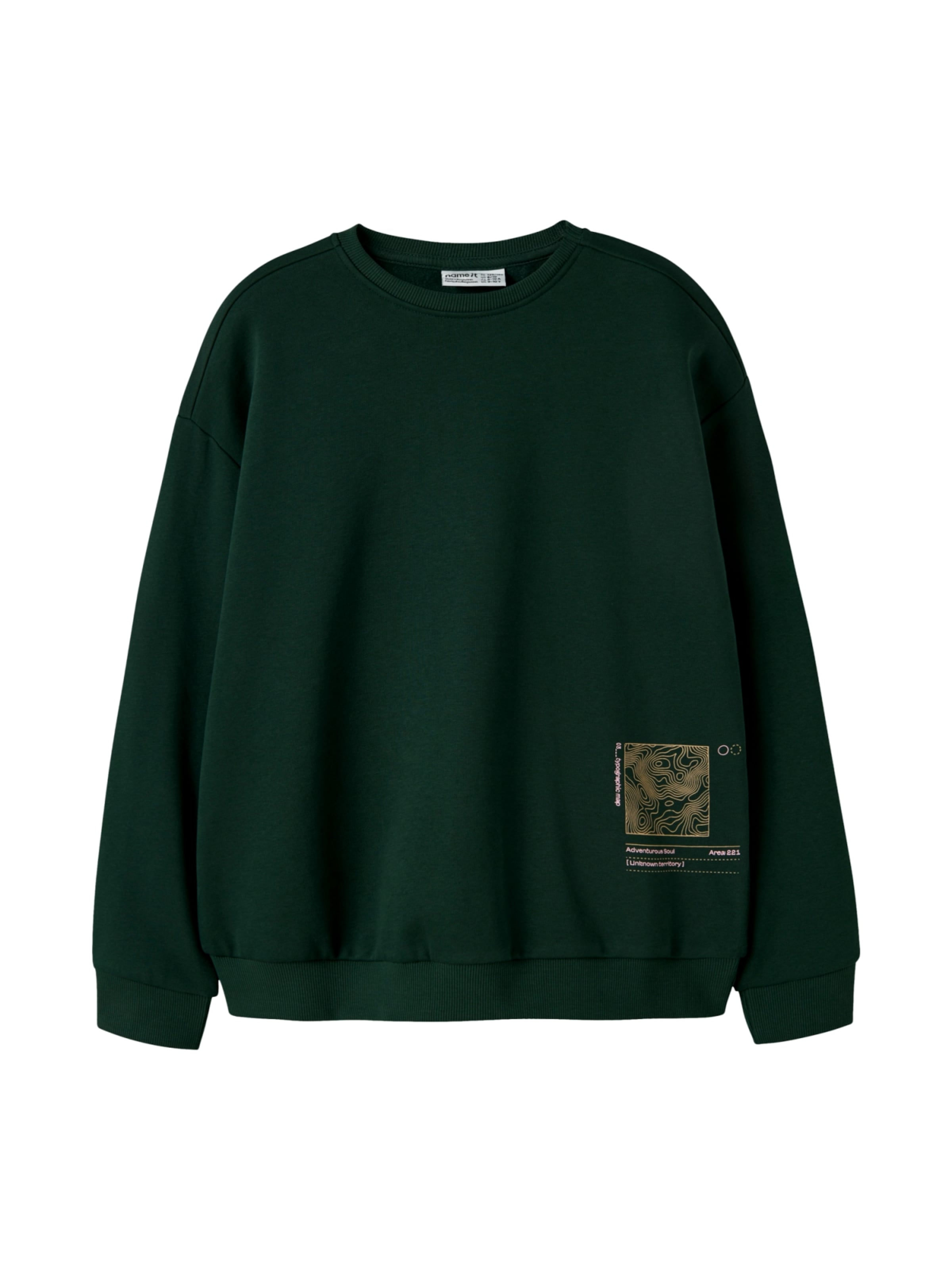 NAME IT - Sudadera 'Franz' en verde: frente