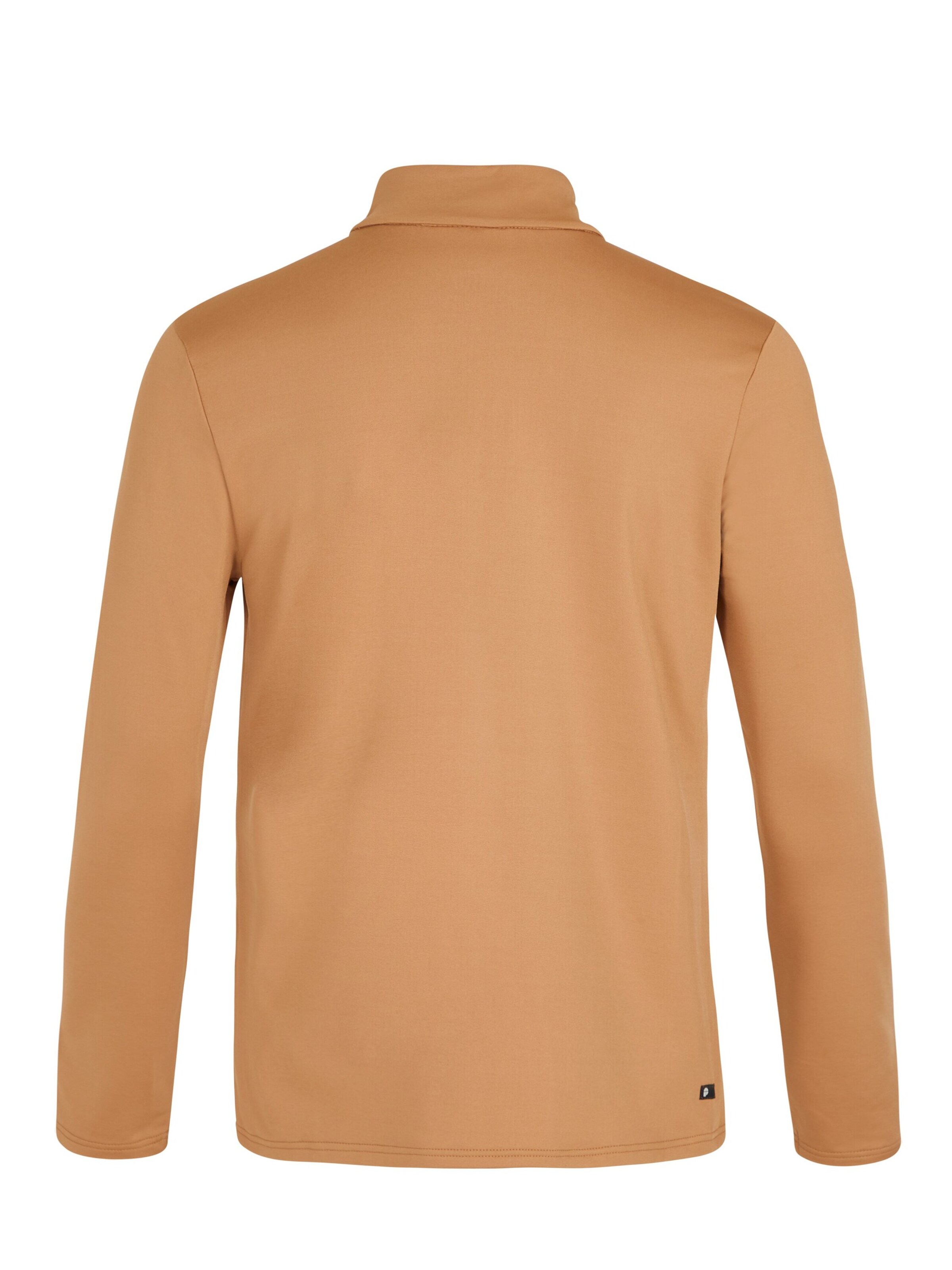 PROTEST Athletic Sweatshirt 'WILL' in Brown