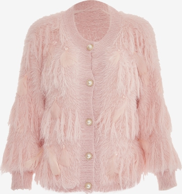 rozā faina Adīta jaka: no priekšpuses