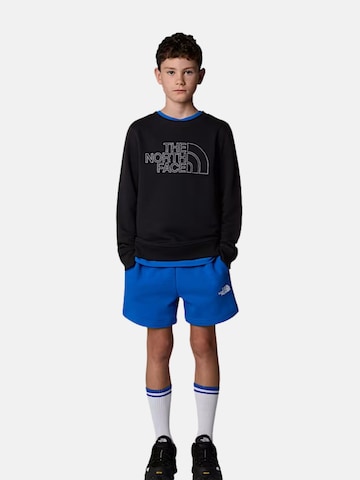 THE NORTH FACE - Sudadera 'DREW PEAK' en negro