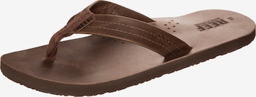 REEF Beach & Pool Shoes 'Draftsmen' in Brown: front