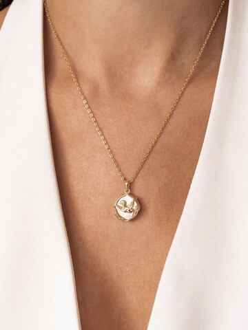 Hey Happiness - Cadena 'Serenity Locket' en oro
