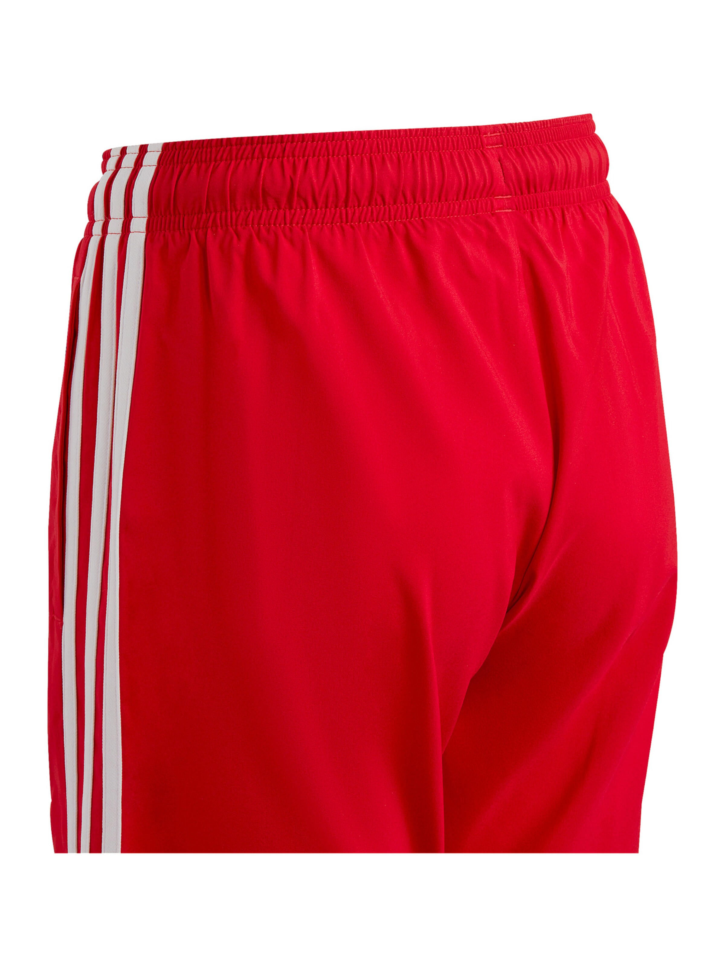 ADIDAS PERFORMANCE Regular Workout Pants in Red