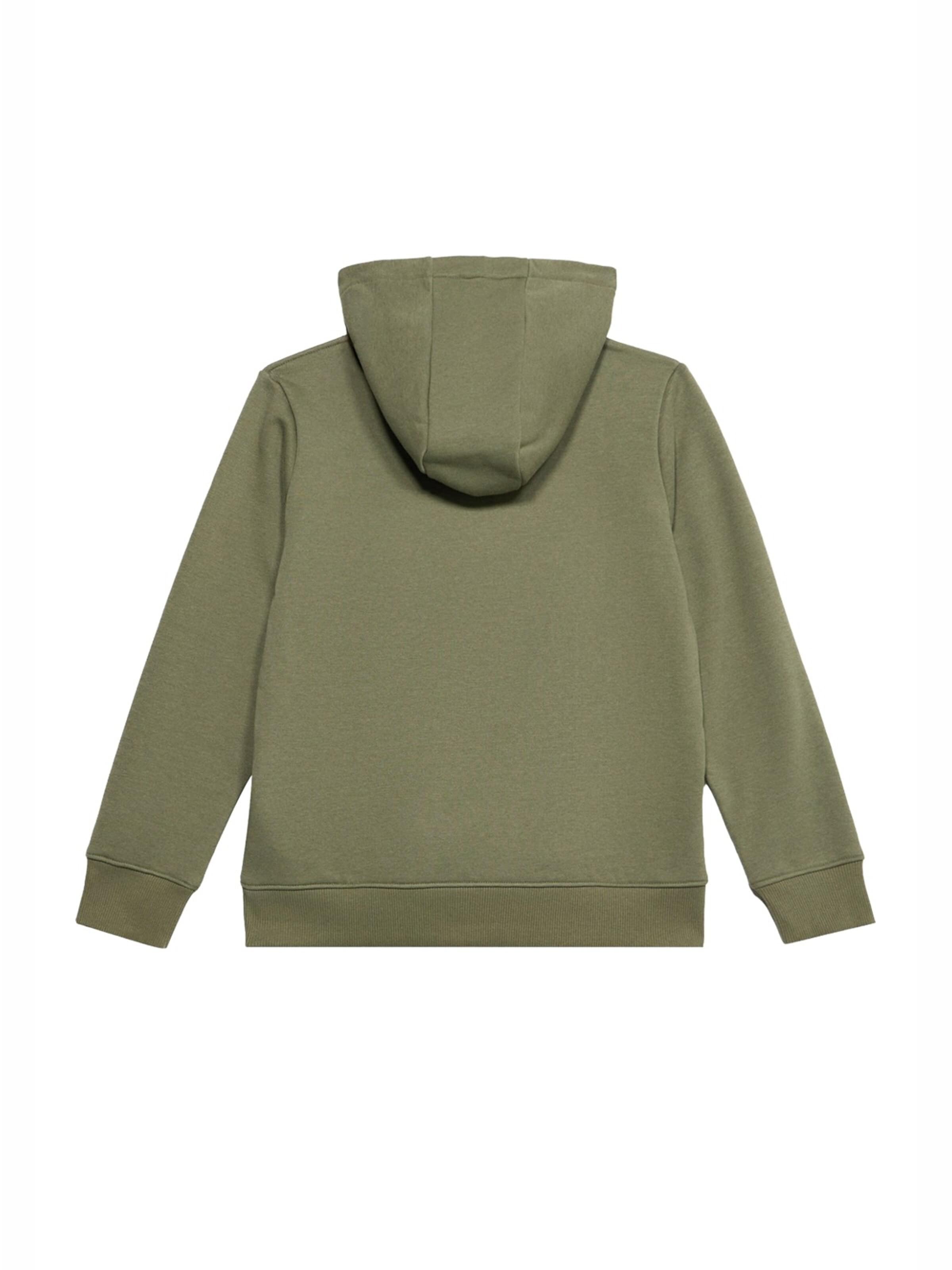 Sweat LACOSTE en vert