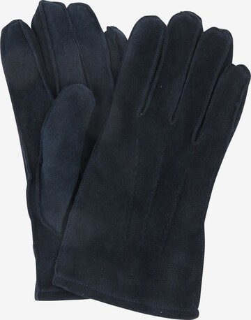 Suitable Full Finger Gloves in Blue: front