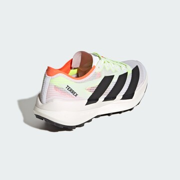 ADIDAS TERREX Running shoe 'Agravic Speed 2' in White