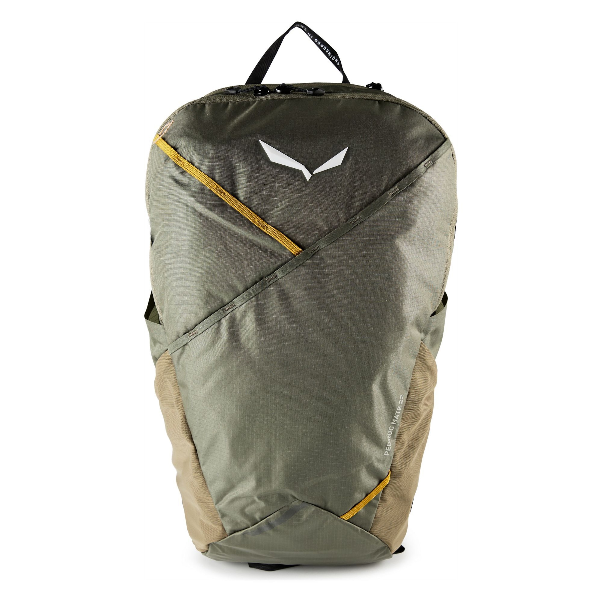 SALEWA Sportrugzak 'Pedroc Mate 22' in Groen: voorkant