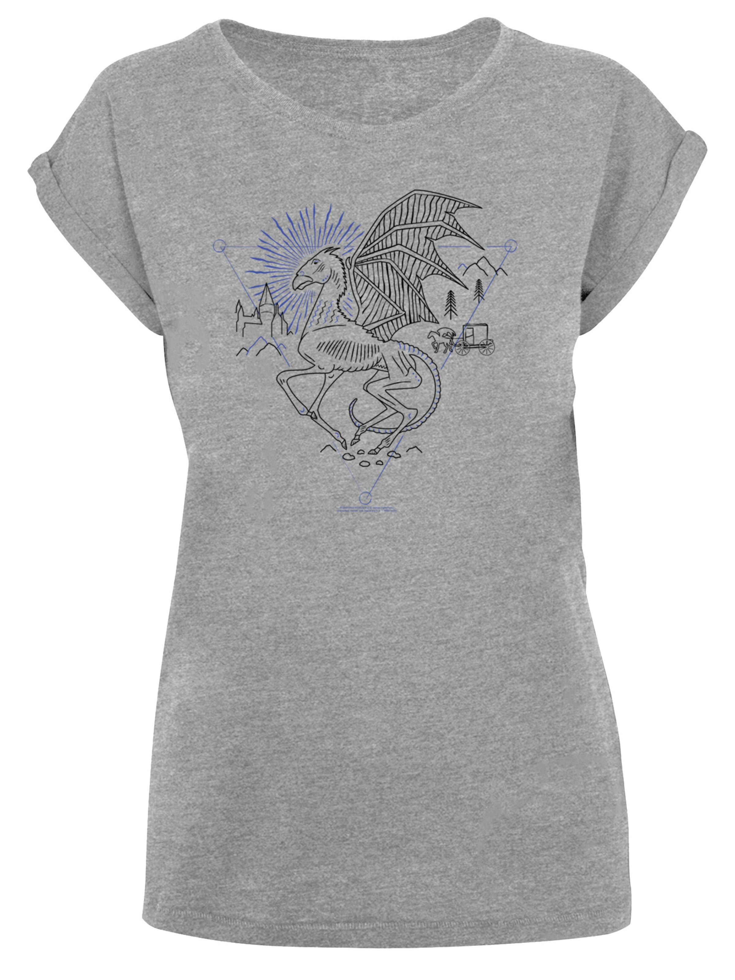 T-shirt F4NT4STIC en gris : devant