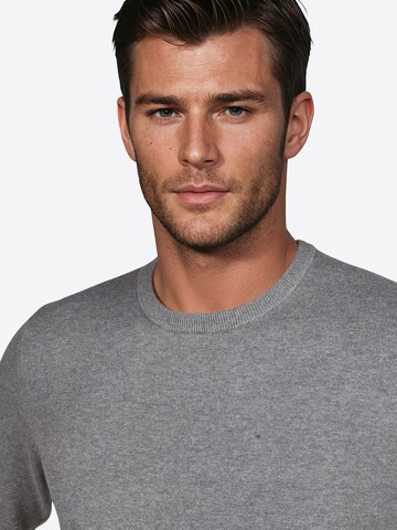 Pull-over PIERRE CARDIN en gris