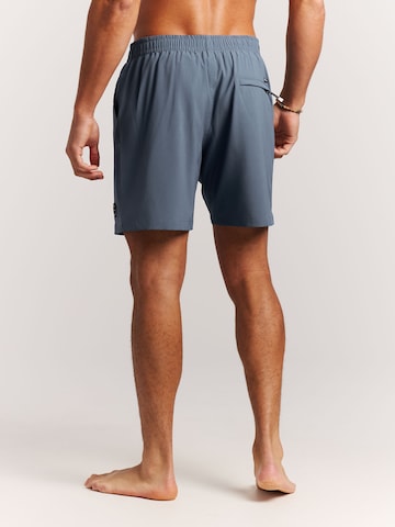 PROTEST Board Shorts 'PRTAdonia' in Blue