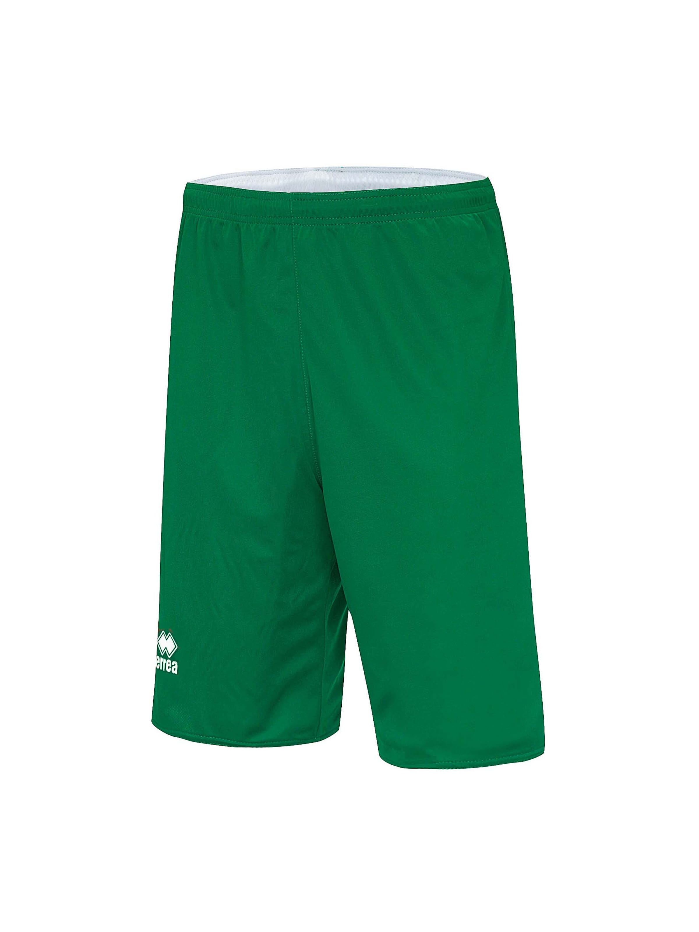 Errea Regular Sports trousers 'CHICAGO' in Green: front