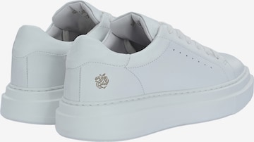 Apple of Eden Sneaker ' SAMIR ' in Weiß