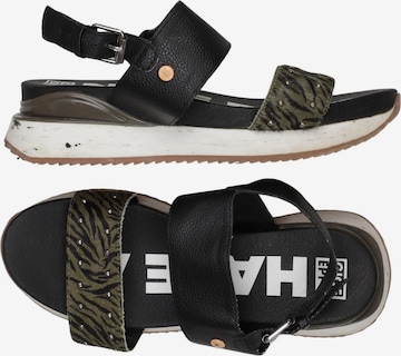 GIOSEPPO Sandals & High-Heeled Sandals in 35 in Mixed colors: front