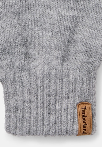 TIMBERLAND Kesztyű - szürke