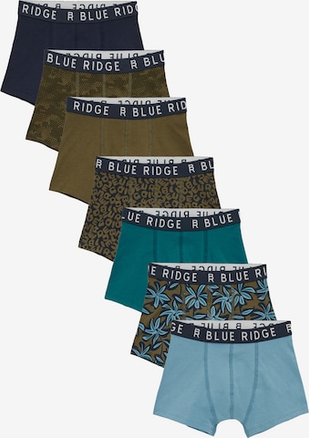 mišri WE Fashion Apatinės kelnaitės: priekis