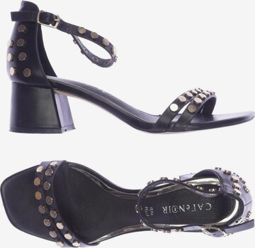 CAFÈNOIR Sandals & High-Heeled Sandals in 38 in Black: front