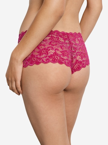 Hanro Panty 'Moments' in Pink