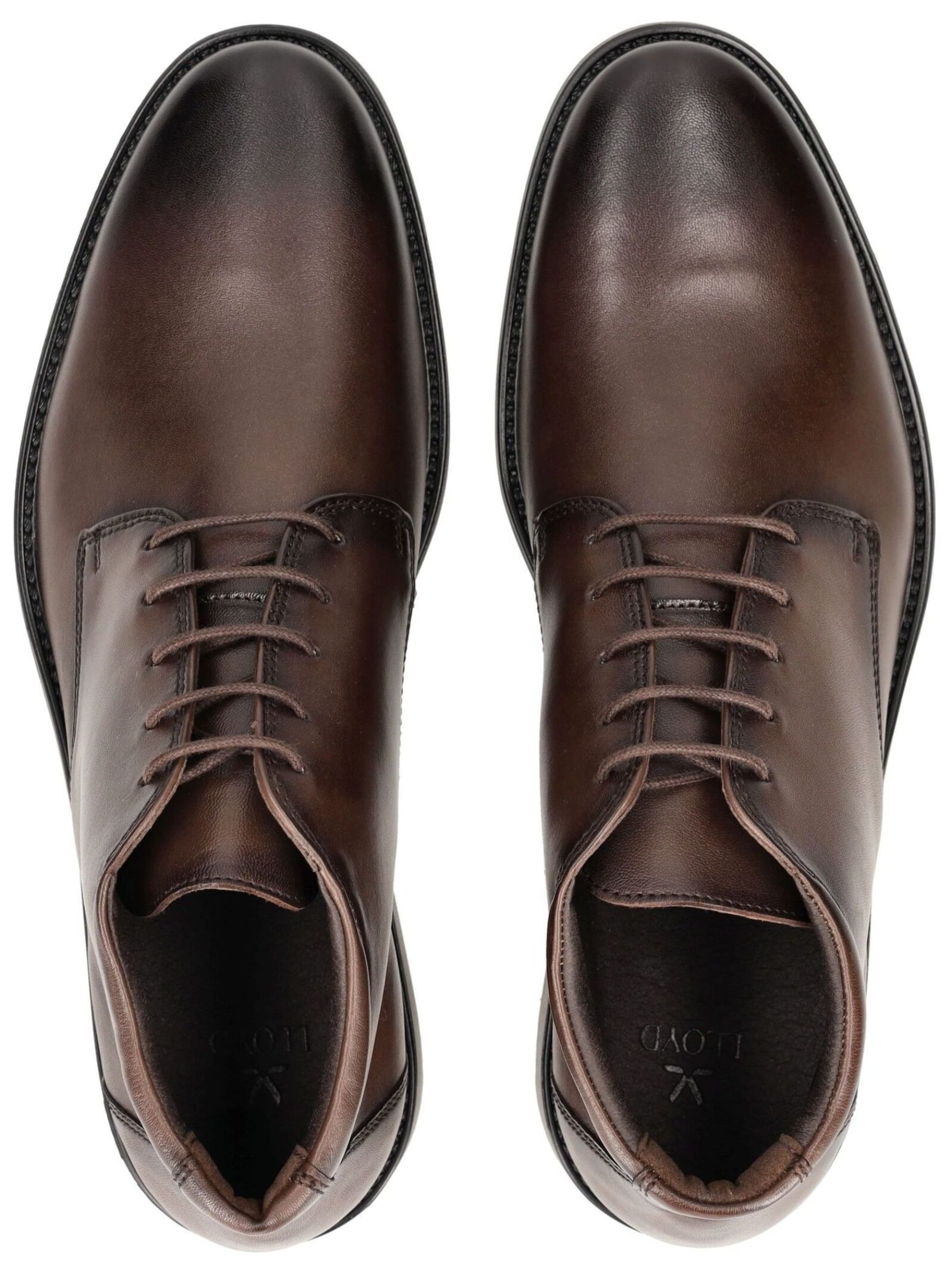 LLOYD Bootsit 'Core 335' värissä ruskea