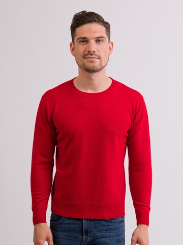 Pullover di CASH-MERE.CH in rosso: frontale