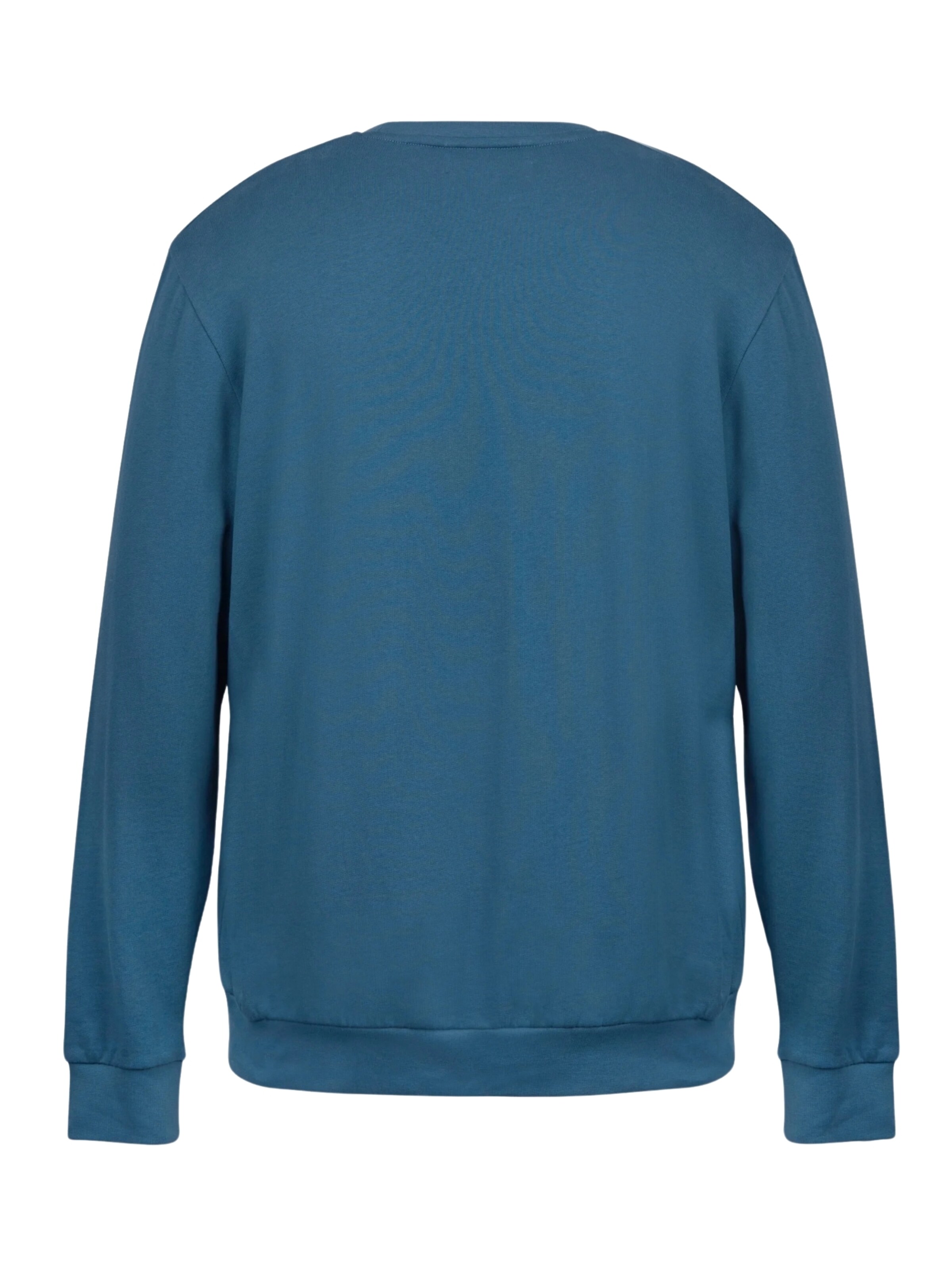 U.S. POLO ASSN. Sweatshirt 'Adler' i grøn