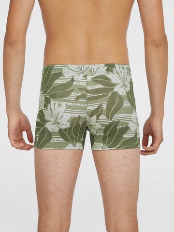 O'NEILL Swim Trunks 'Essentials Racer' in Green