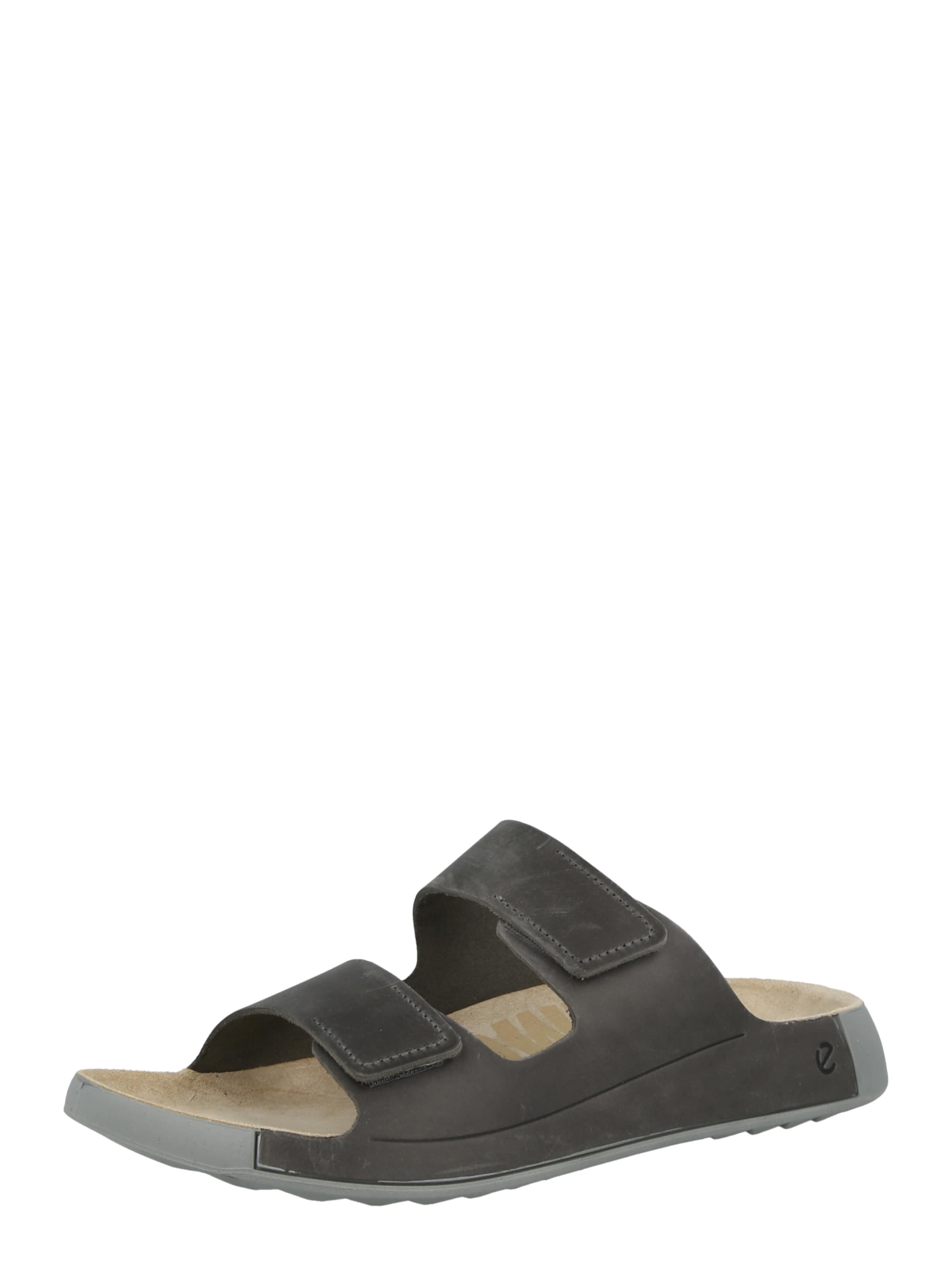 ECCO Plätu 'COZMO', värv pruun: eest vaates