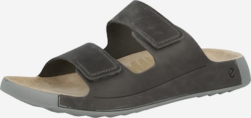 ECCO Plätu 'COZMO', värv pruun: eest vaates