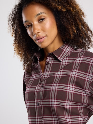 America Today Blouse in Bruin