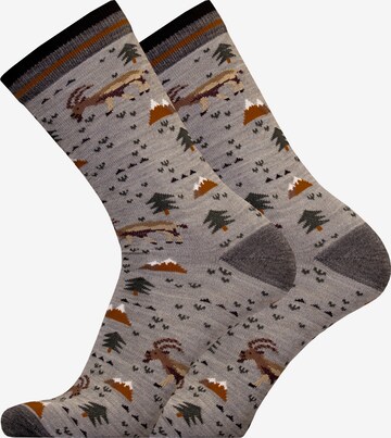 UphillSport Socks 'IBEX' in Grey: front