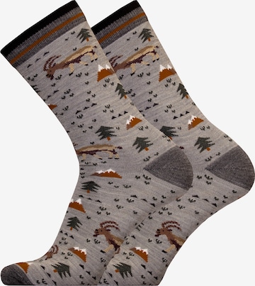 UphillSport Socks 'IBEX' in Grey: front