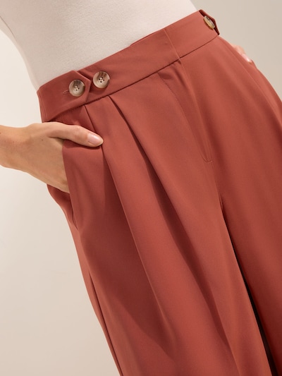 Friends Like These Брюки со складками в Ржавый, Обзор товара