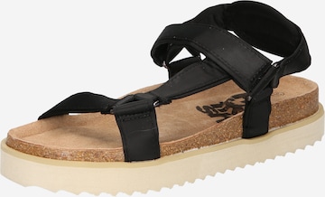 Refresh Sandals in Black: front