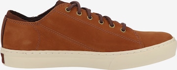 TIMBERLAND Sneakers in Brown