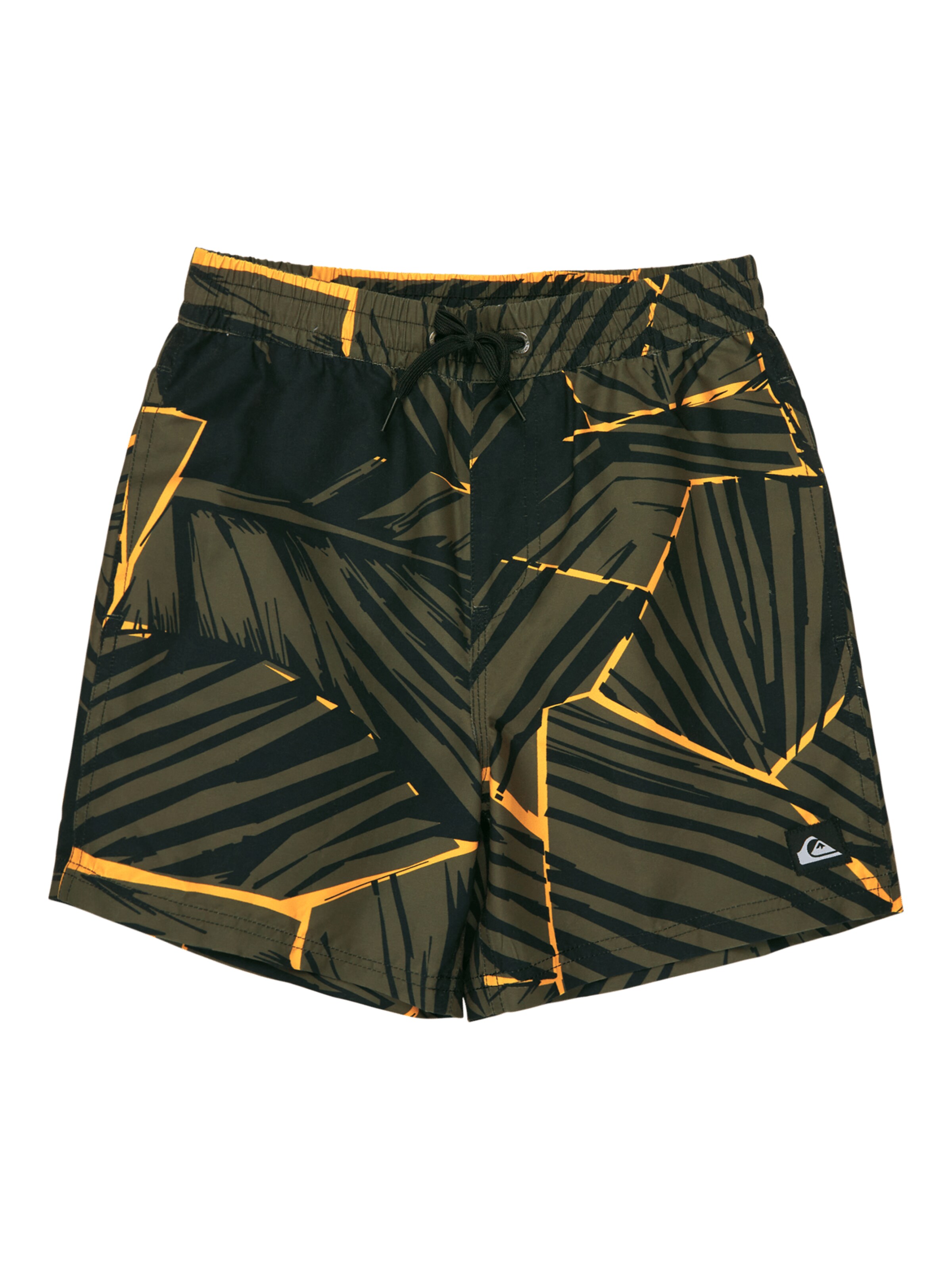 QUIKSILVER Badeshorts 'Everyday Printed Volley 14' in Grün: Vorderseite
